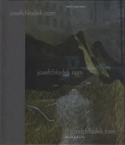 Cover of David Gaberle - Metropolight