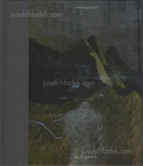 Cover of David Gaberle - Metropolight