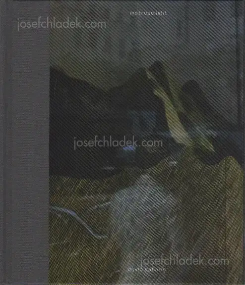 Cover of David Gaberle - Metropolight