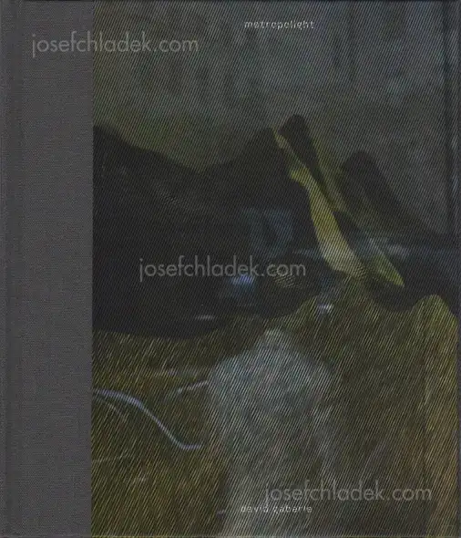 Cover of David Gaberle - Metropolight