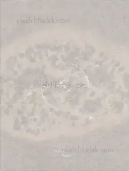 Cover of Stéphane Charpentier - The Core