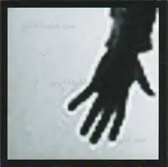 Cover of Fritz Lichtenwagner - constrain