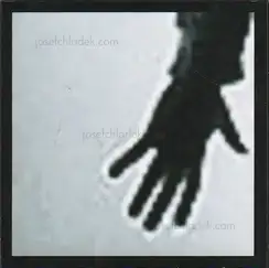 Cover of Fritz Lichtenwagner - constrain