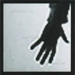 Cover of Fritz Lichtenwagner - constrain