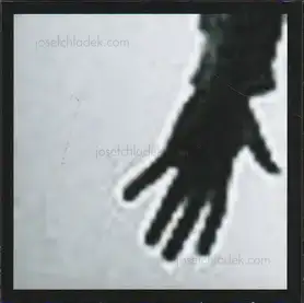 Cover of Fritz Lichtenwagner - constrain