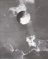 Rosanna Bach - Birds of Paradise