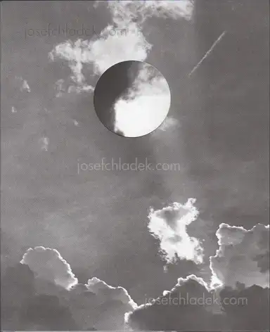 Rosanna Bach - Birds of Paradise Rosanna Bach - Birds of Paradise