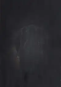 Feng Li - White Night