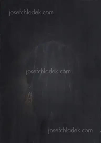 Feng Li - White Night Feng Li - White Night