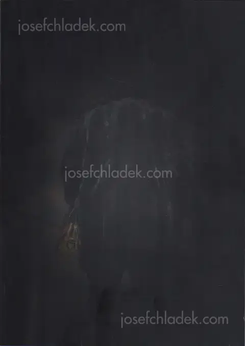 Cover of Feng Li - White Night