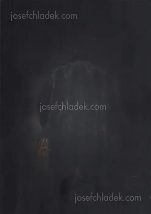 Cover of Feng Li - White Night