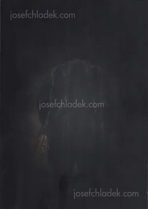 Cover of Feng Li - White Night