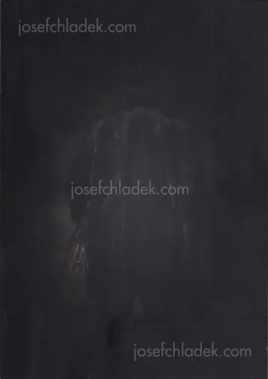 Cover of Feng Li - White Night