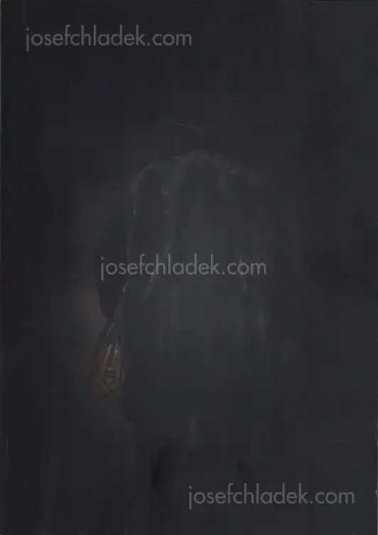 Cover of Feng Li - White Night