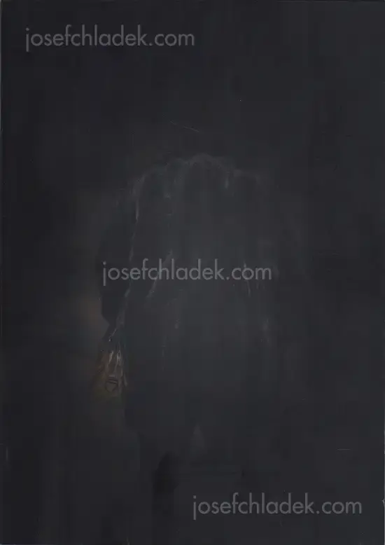 Cover of Feng Li - White Night