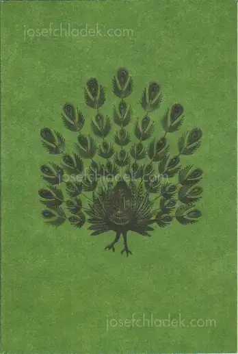 Cover of Marco P. Valli & Anna Adamo - Bakeca