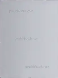 Alexander Binder - Untitled