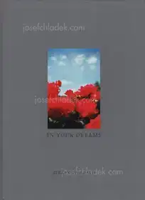 Terri Weifenbach - In Your Dreams