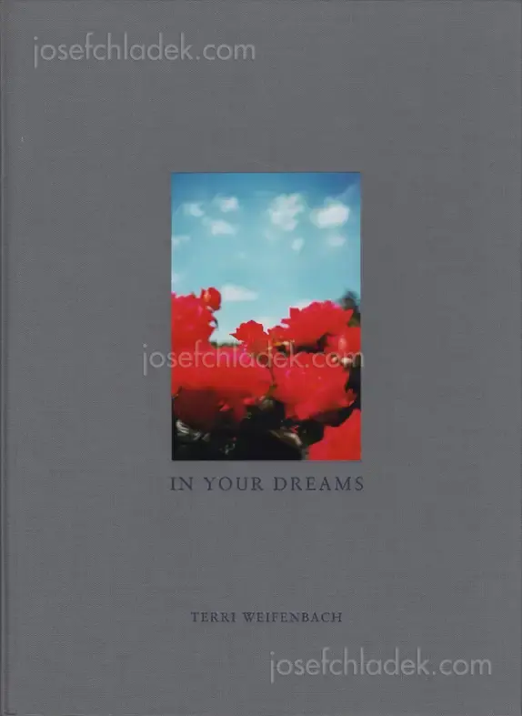 Cover of Terri Weifenbach - In Your Dreams