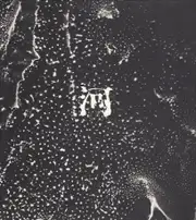 Jun Morinaga - River, its shadow of shadows (河 累影 | 森永純)      