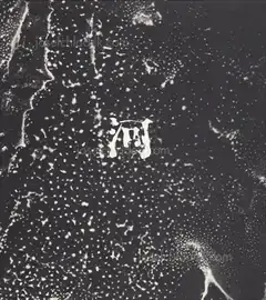 Jun Morinaga - River, its shadow of shadows (河 累影 | 森永純)      