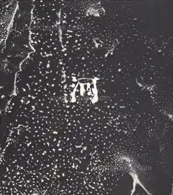 Jun Morinaga - River, its shadow of shadows (河 累影 | 森永純)      