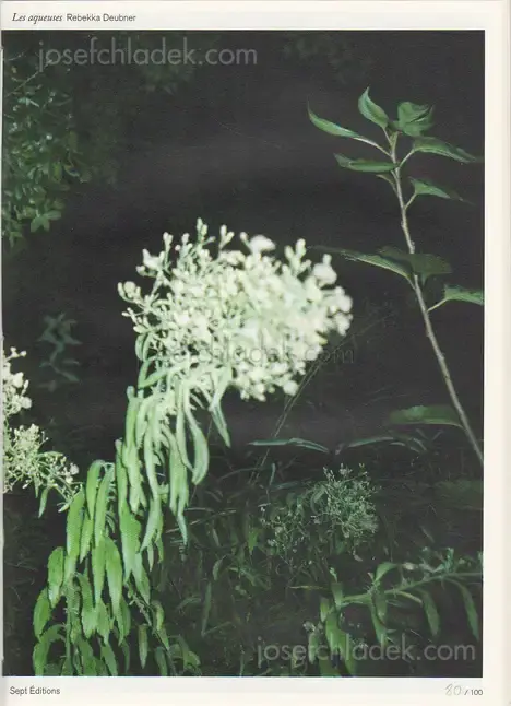 Cover of Rebekka Deubner - Les Aqueuses