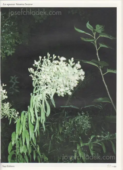 Cover of Rebekka Deubner - Les Aqueuses