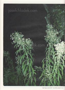 Rebekka Deubner - Les Aqueuses (Back)