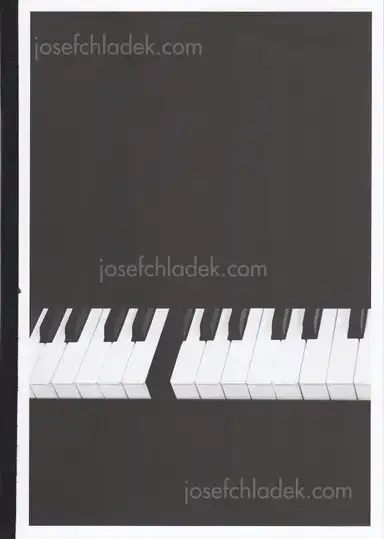 Bérangère Fromont - I Don't Want To Disappear Completely Bérangère Fromont - I Don't Want To Disappear Completely