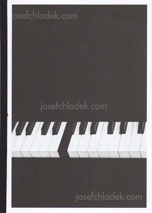 Cover of Bérangère Fromont - I Don't Want To Disappear Completely