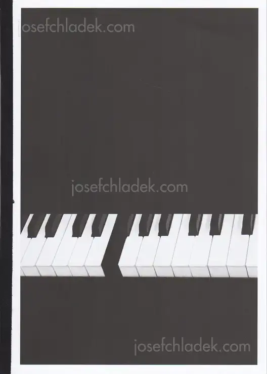 Cover of Bérangère Fromont - I Don't Want To Disappear Completely