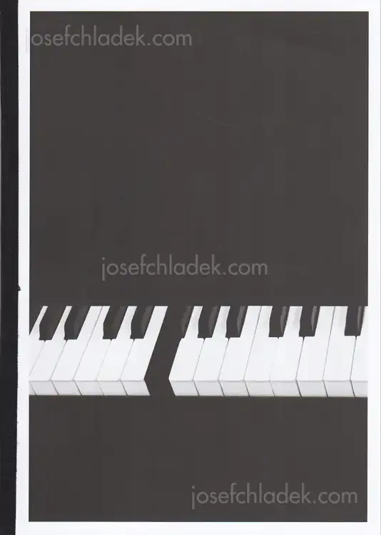 Cover of Bérangère Fromont - I Don't Want To Disappear Completely