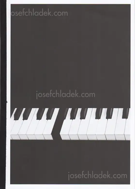 Cover of Bérangère Fromont - I Don't Want To Disappear Completely