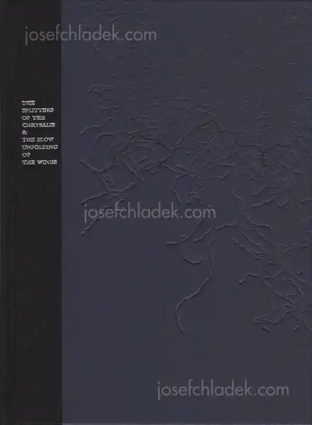 Cover of Yorgos Yatromanolakis - The Splitting of the Chrysalis & the Slow Unfolding of the Wings
