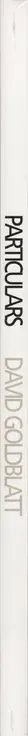 Book spine: David Goldblatt - Particulars
