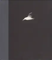 Charles-Frédérick Ouellet - Le Naufrage