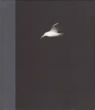 Charles-Frédérick Ouellet - Le Naufrage