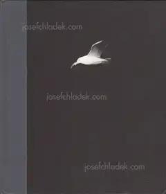 Charles-Frédérick Ouellet - Le Naufrage