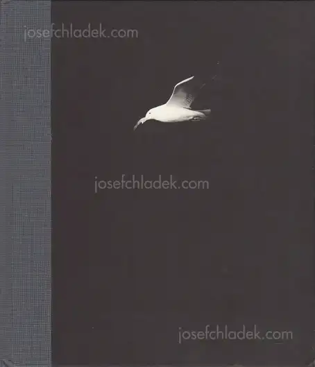 Cover of Charles-Frédérick Ouellet - Le Naufrage