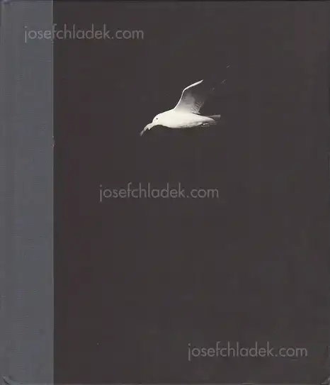 Cover of Charles-Frédérick Ouellet - Le Naufrage