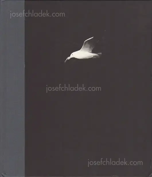 Cover of Charles-Frédérick Ouellet - Le Naufrage