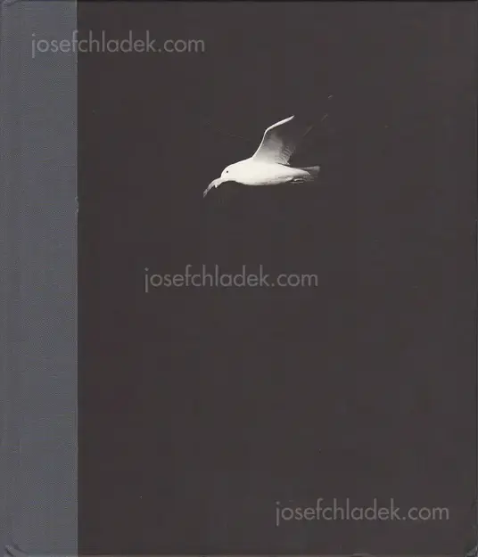 Cover of Charles-Frédérick Ouellet - Le Naufrage