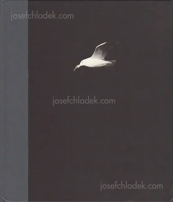 Cover of Charles-Frédérick Ouellet - Le Naufrage