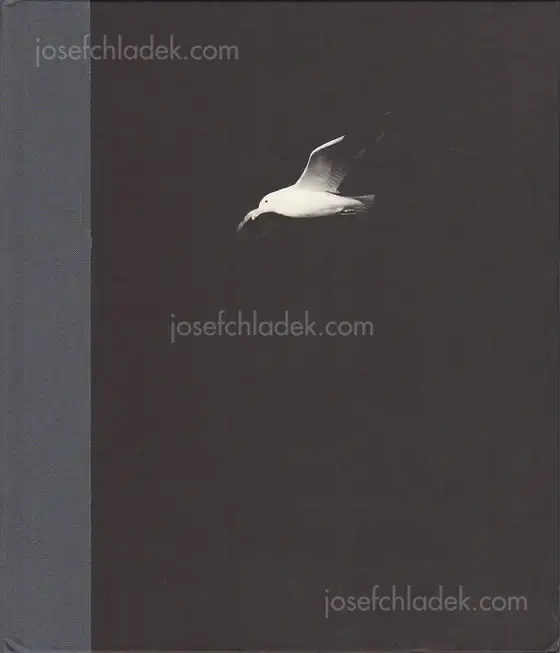Cover of Charles-Frédérick Ouellet - Le Naufrage