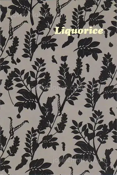 Cover of Aaron McElroy - Liquorice