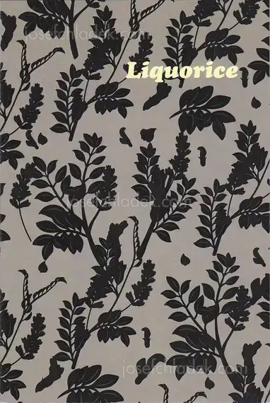 Cover of Aaron McElroy - Liquorice