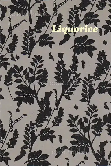 Aaron McElroy - Liquorice Aaron McElroy - Liquorice