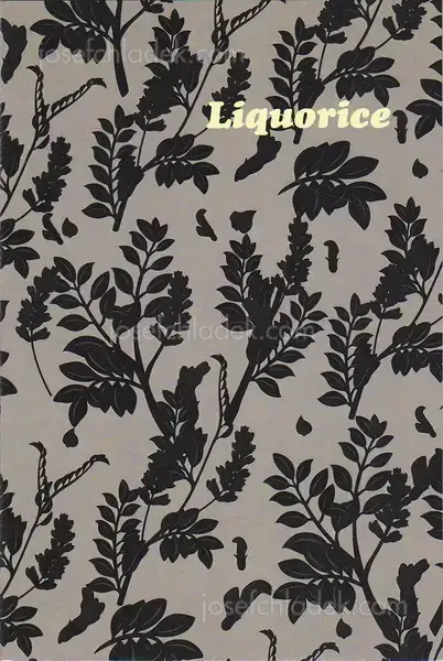 Cover of Aaron McElroy - Liquorice