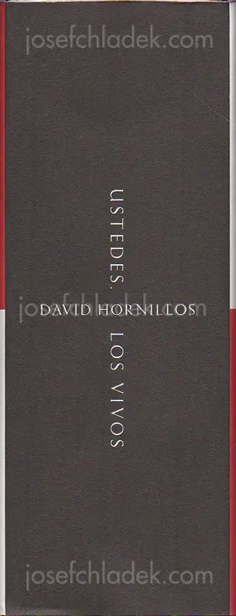 David Hornillos - Ustedes, los vivos